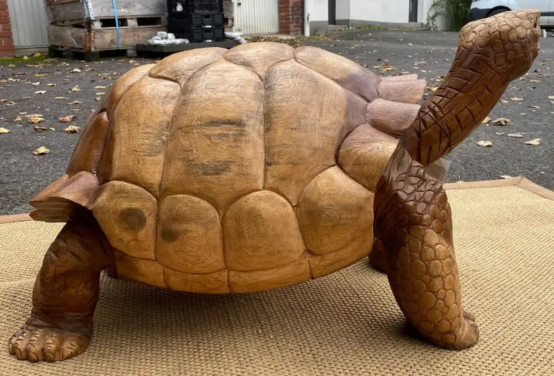 Artikelbild 5 des Artikels “Schildkröte – Skulptur aus Suarholz, ca. 80 cm Länge “
